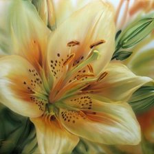 Схема вышивки «Лилия»