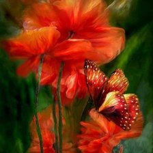 Схема вышивки «маки»