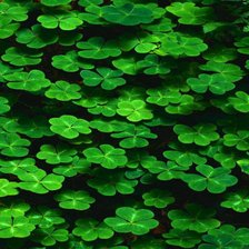 Схема вышивки «Природный узор»