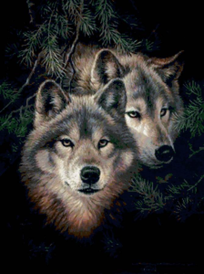 №92676 - предпросмотр