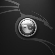 Схема вышивки «Дракон Инь-Янь»