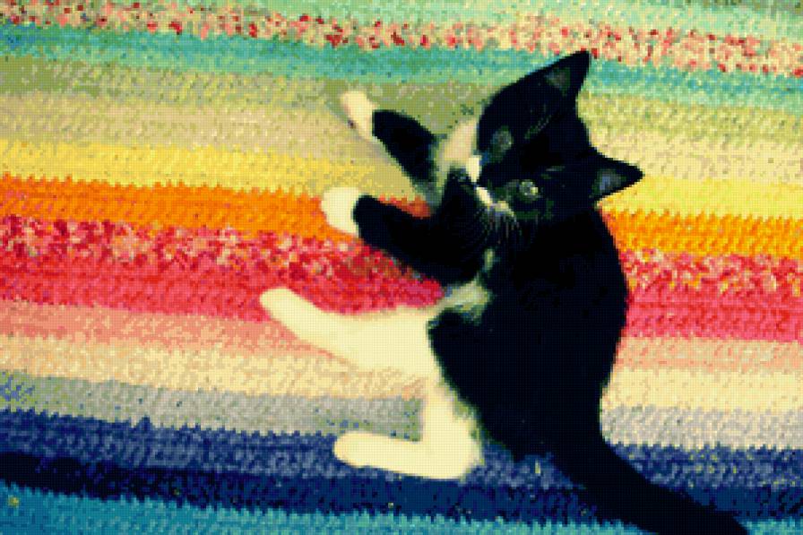 котейка - котенок, кот - предпросмотр