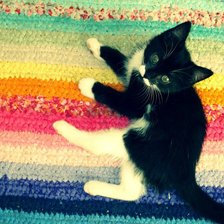 Схема вышивки «котейка»