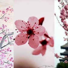 Схема вышивки «сакура»