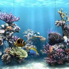 Схема вышивки «риф»