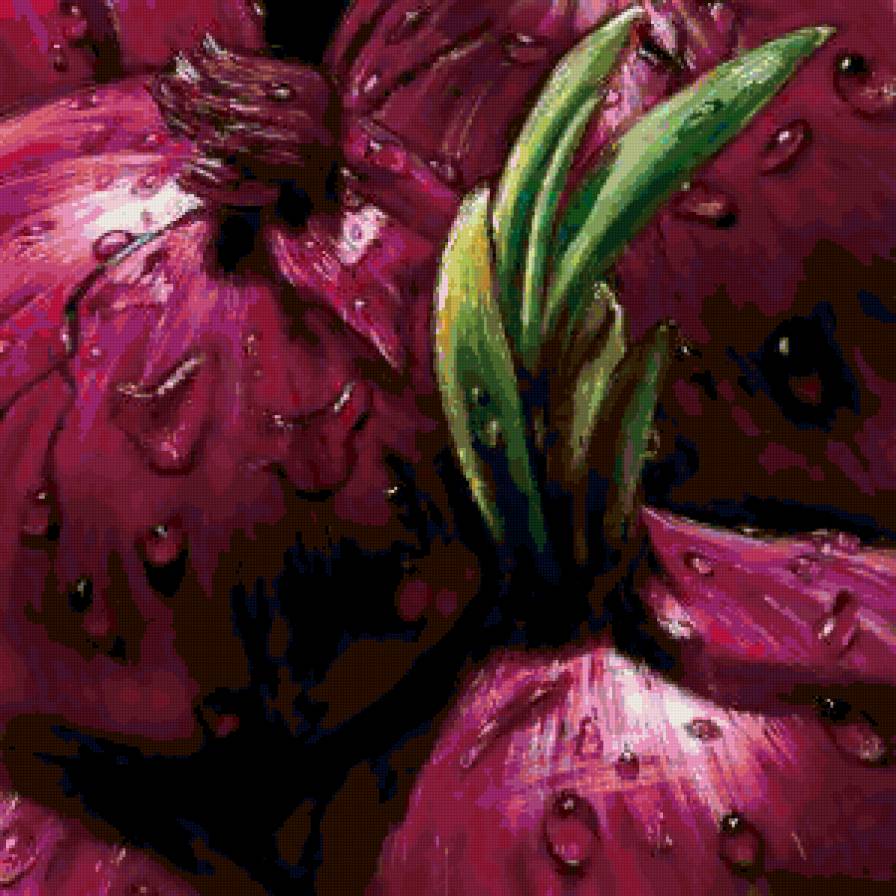 Красный лук - альмах, живопись - предпросмотр