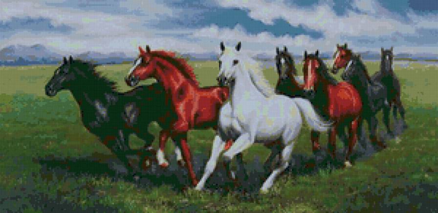 лошади - лошади, животные - предпросмотр