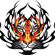 Схема вышивки «Морда тигра»