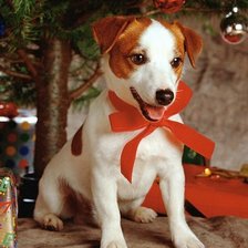 Схема вышивки «новогодний подарок»