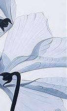 Схема вышивки «цветок»