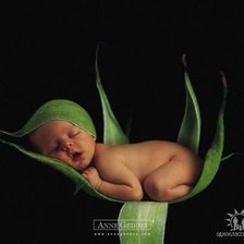 Схема вышивки «сон»