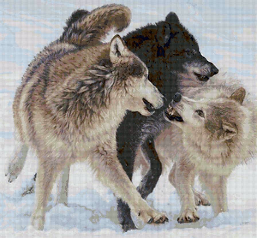 Серия "Волки" - животные, волки - предпросмотр