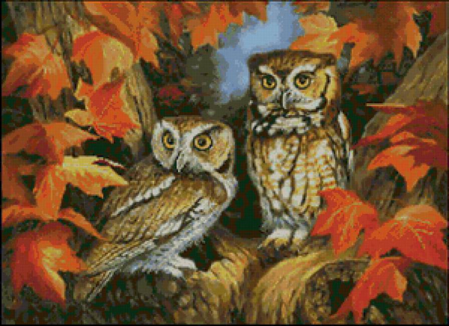 Серия "Птицы. Совы" - осень, филины, совы, пейзаж, птицы - предпросмотр