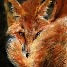 Рыжий хвостик