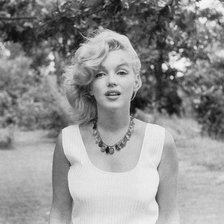 Схема вышивки «№93531»