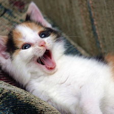 Схема вышивки «№93537»