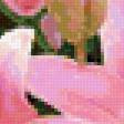 Предпросмотр схемы вышивки «лилии» (№93549)