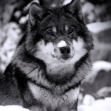 Схема вышивки «№93670»