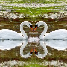 Схема вышивки «Пара лебедей»