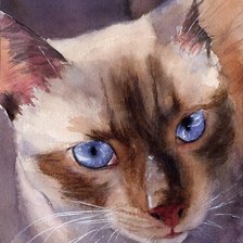 Схема вышивки «Сиамский кот»