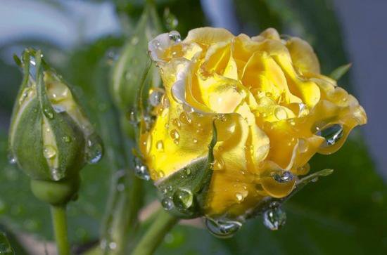 №93849 - оригинал