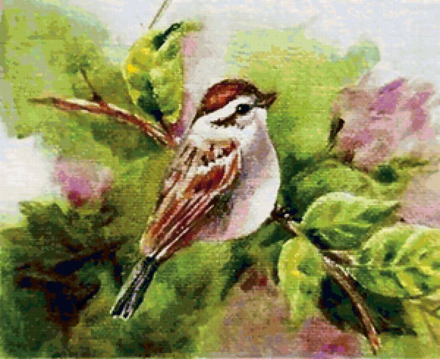 птичка на ветке - птица - предпросмотр