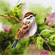 птичка на ветке