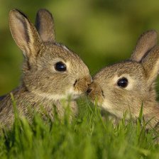 Схема вышивки «Давай знакомиться!»