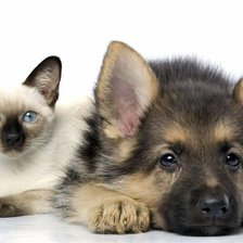 Схема вышивки «Друзья»