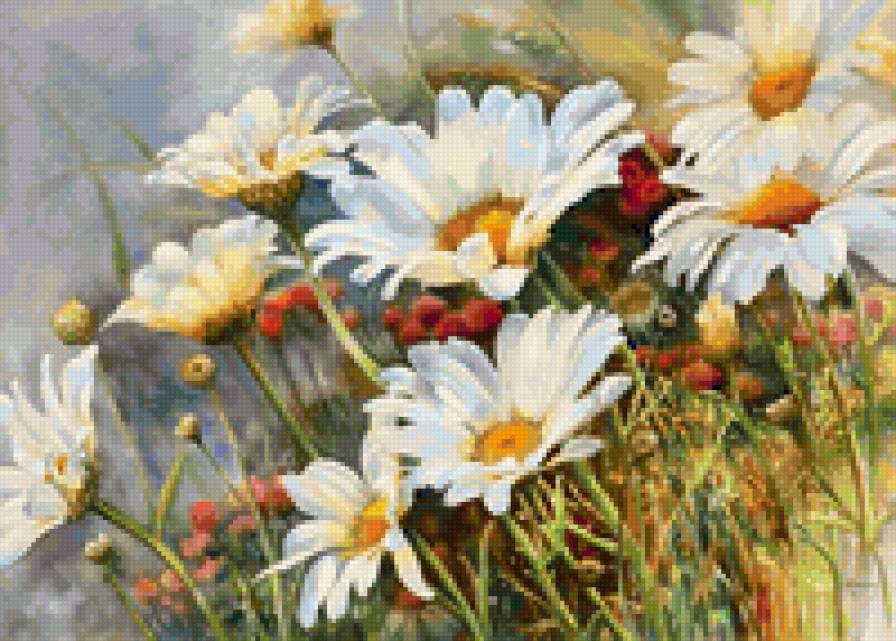 полевые цветы - ромашки - предпросмотр