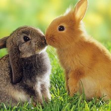 Схема вышивки «Свой поцелуй подари...»