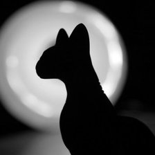 Схема вышивки «киса»