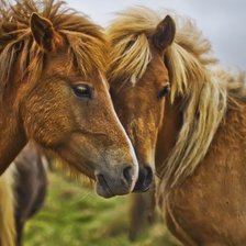 Схема вышивки «Вдвоем»