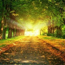 Схема вышивки «осень»