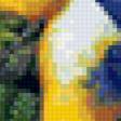 Предпросмотр схемы вышивки «птицы» (№94330)