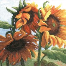 Схема вышивки «подсолнухи»