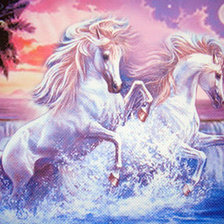 Сказочная ночь