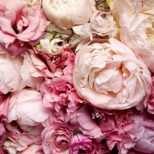 Схема вышивки «цветы»