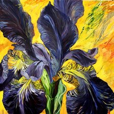 Схема вышивки «серия "яркие краски"»