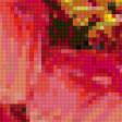 Предпросмотр схемы вышивки «серия "яркие краски"» (№94643)