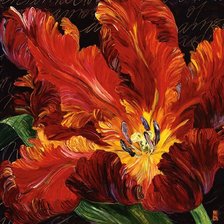 Схема вышивки «серия "яркие краски"»