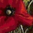 Предпросмотр схемы вышивки «Маки» (№94655)