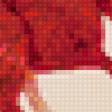 Предпросмотр схемы вышивки «маки» (№94691)