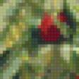 Предпросмотр схемы вышивки «шиповник» (№94699)