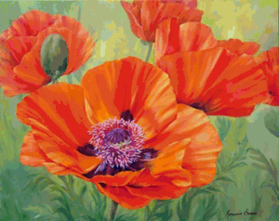 Маки - маки, букет, цветы - предпросмотр