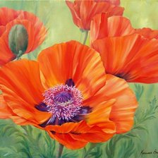 Схема вышивки «Маки»