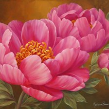 Схема вышивки «Пионы»