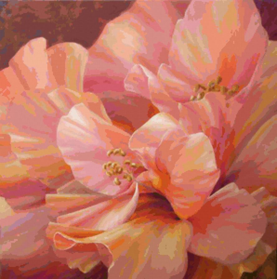 Нежный цвет - букет, цветы, магнолии - предпросмотр