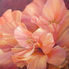 Схема вышивки «Нежный цвет»