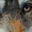 Предпросмотр схемы вышивки «Волк» (№94803)